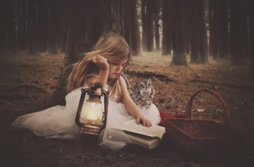 Little girl in forest with lantern, book and owl