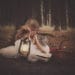 Little girl in forest with lantern, book and owl