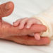 Closeup image of baby holding Great Grandma's fingers